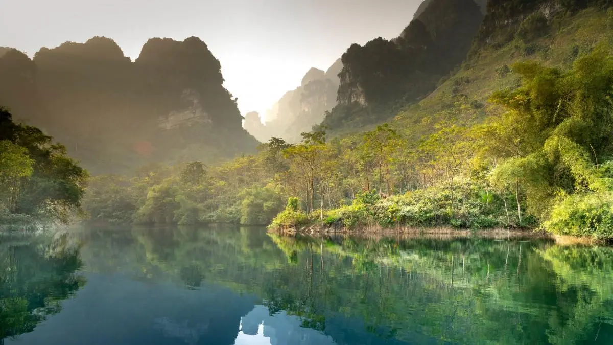 高效精密高效